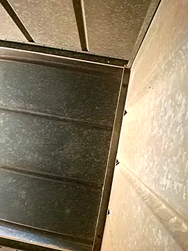 petrossa (M young) - Future plan