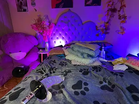 Naugth_channel_ts webcam