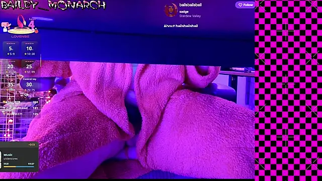 baileymonarch webcam