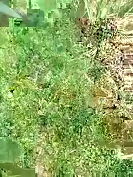 finableknee - FinableKnee's free webcam - UK Sex Cams