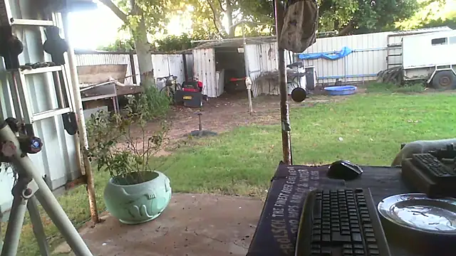 herbie010666 live sex cam