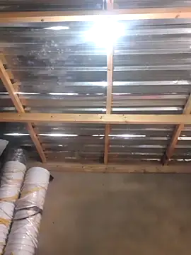 2522horny (M young) - Buy walking equipment