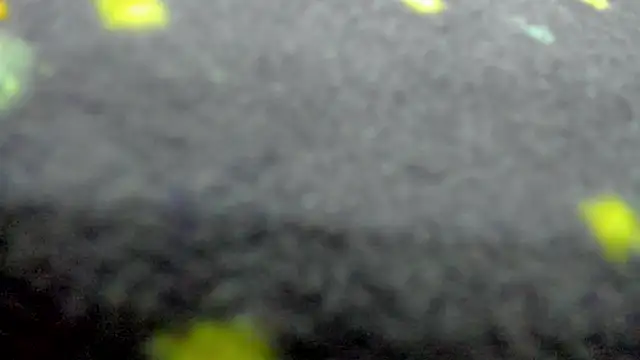 AishaRouhi live sex cam