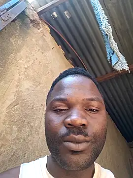 petrossa (M young) - Future plan