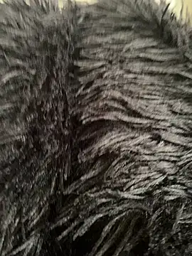 little_dreamer_ webcam