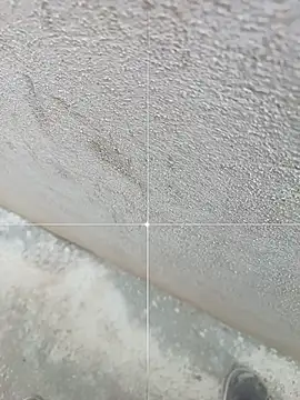 sexofbro Live Webcam on Stripchat