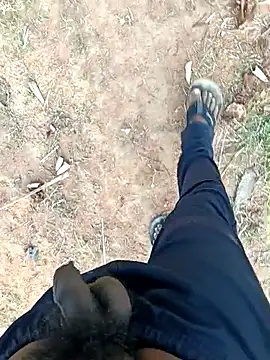 dolphiinn live sex cam