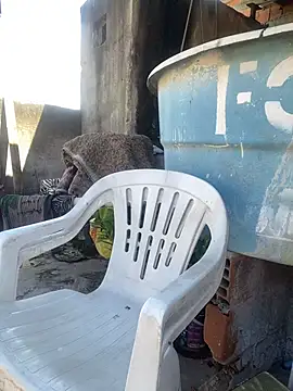 sabrinaneves - Sabrinaneves's free webcam - UK Sex Cams