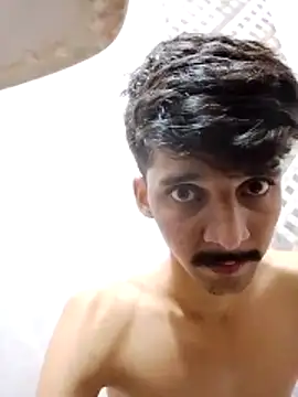 kallij (M young) - Nude