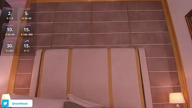 wenfox - WenFox's free webcam