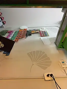 LittleDoll___ webcam