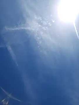 uncuthammer69 (Ask my age) - Destroy ass with xxxl dildo!