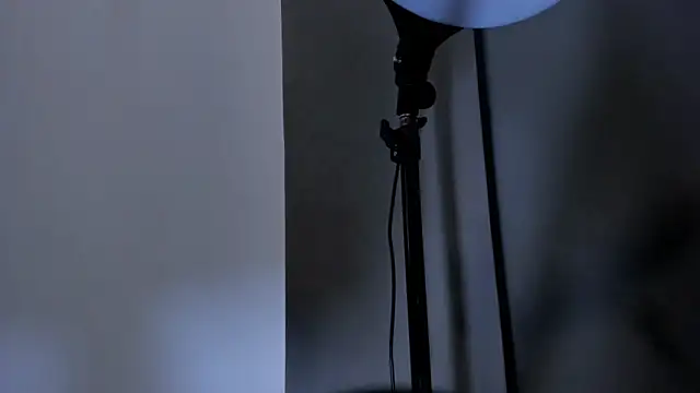 Roger_And_Ramona live sex cam