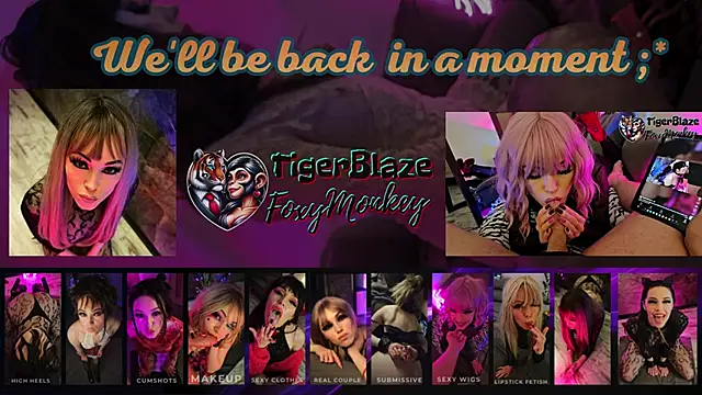 TigerBlazeFoxyMonkey webcam