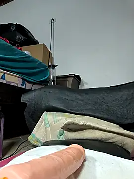 shelby_kutter webcam