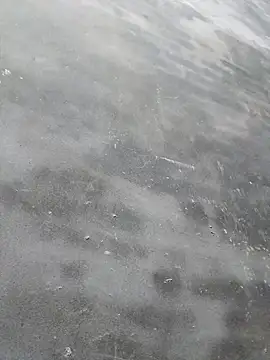 sgs594802799 - Sgs594802799's free webcam