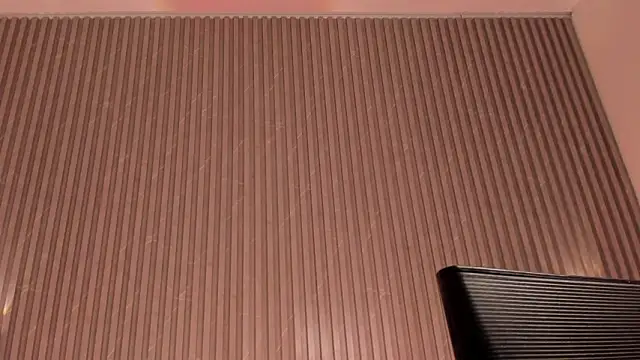 maddygray_ (F young) - SHOW ICE IN PUSSY AND CONTROL LUSH