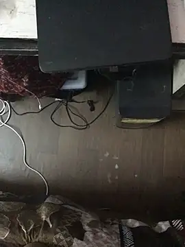 dirtydesirex (M twink) - New phone