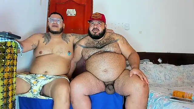 Bearspigdirty webcam
