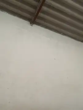 GeorgiandCoi live sex cam