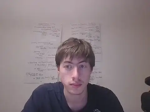 VelvetRagottiOG webcam