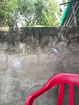 demonaughtyyy (F young) - 3 fingers inside tight pussy shhh public