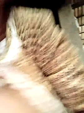 sinejdk3 - Sinejdk3's free webcam - UK Sex Cams