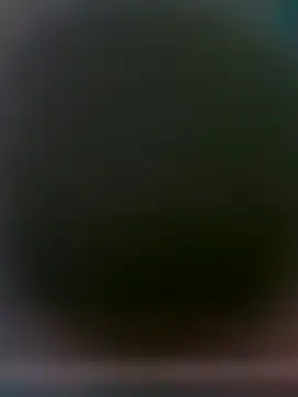 yourMasterisBored webcam