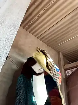 Webcam Model (Shreya_pandit)  is live.Free join now!