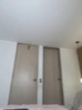 selenne_schmitt webcam