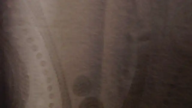 madelene - Madelene's free webcam - UK Sex Cams