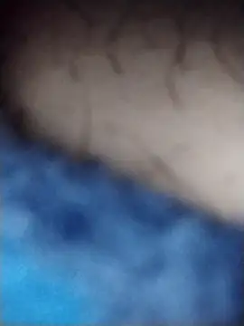 Francescodicristina44