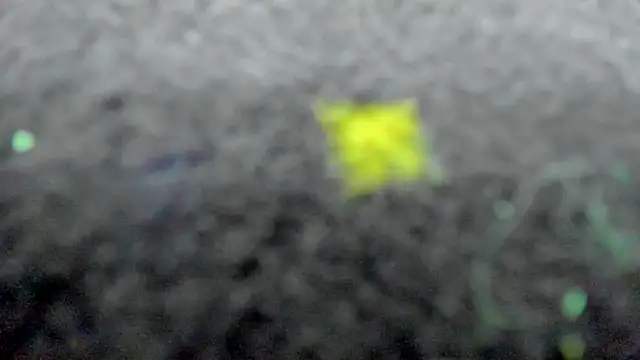 AishaRouhi live sex cam