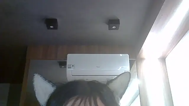 SkinnyKitten live sex cam