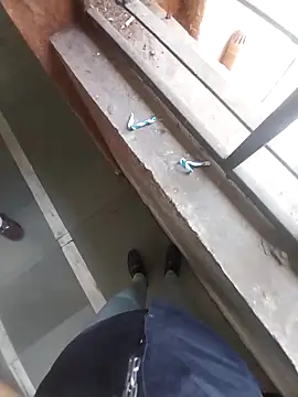 kiss_like_choco11 - Kiss_like_choco11's free webcam - UK Sex Cams