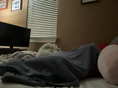 beastmaster504 webcam