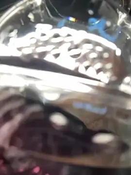 eveangelll live sex cam