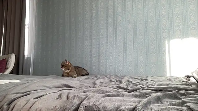 eisastaar - Eisastaar's free webcam - UK Sex Cams