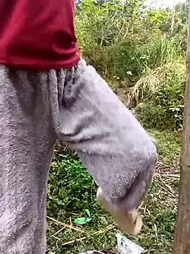 hoa-tuylip (F teen) - Ước mơ được mua xe