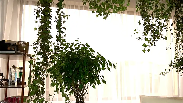 TheMaddisonShow_ live sex cam