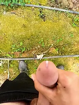 sikici0734 (M young) - 500