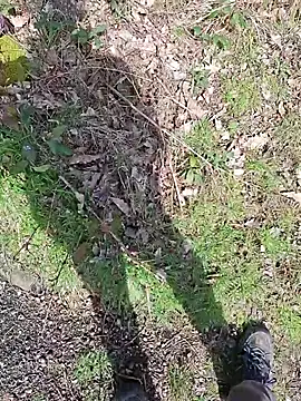 FreezingTie850 webcam