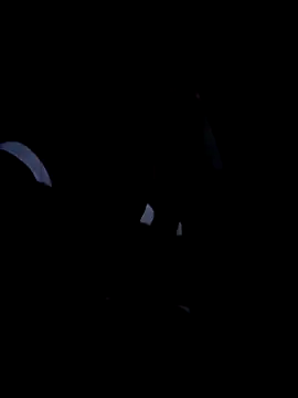 214KingLonggg webcam