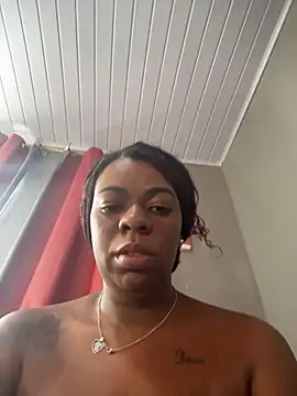 Priihmedeiros webcam