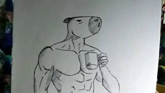 Torma_Kongritte webcam