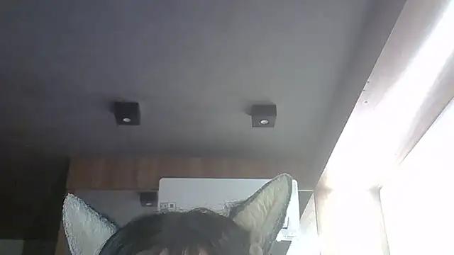 SkinnyKitten webcam