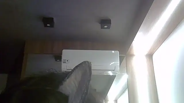SkinnyKitten webcam