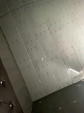 PanelledCabalist webcam