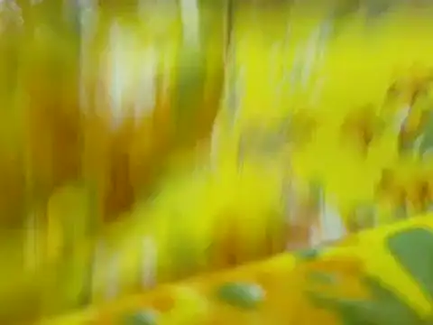 TABOOBREAKERS webcam