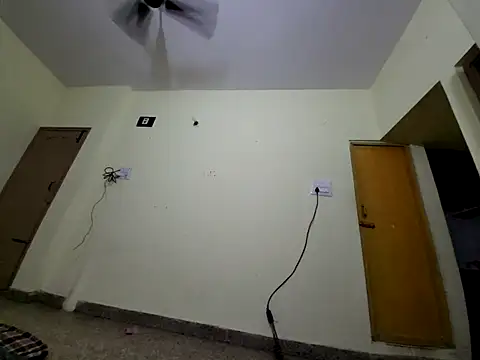 Naveen9100Unity webcam